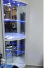 Corner glass showcase, white, model 663