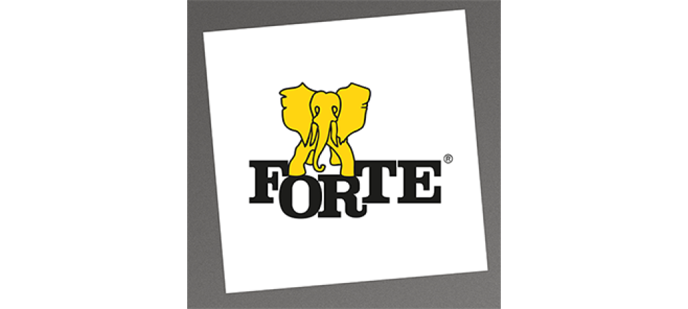 FORTE (POLAND) image