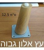 עץ אלון גבוה 12.5 ס''מ 