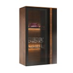Hanging Glass Cabinet with lighting VIGO