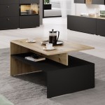 Coffee table BAROS Artisan/Black