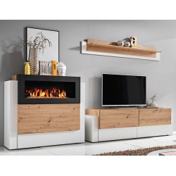wall unit QUEENS with bio fireplace wall unit QUEENS with bio fireplace