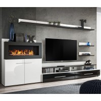 wall unit CAMINO with bio fireplace